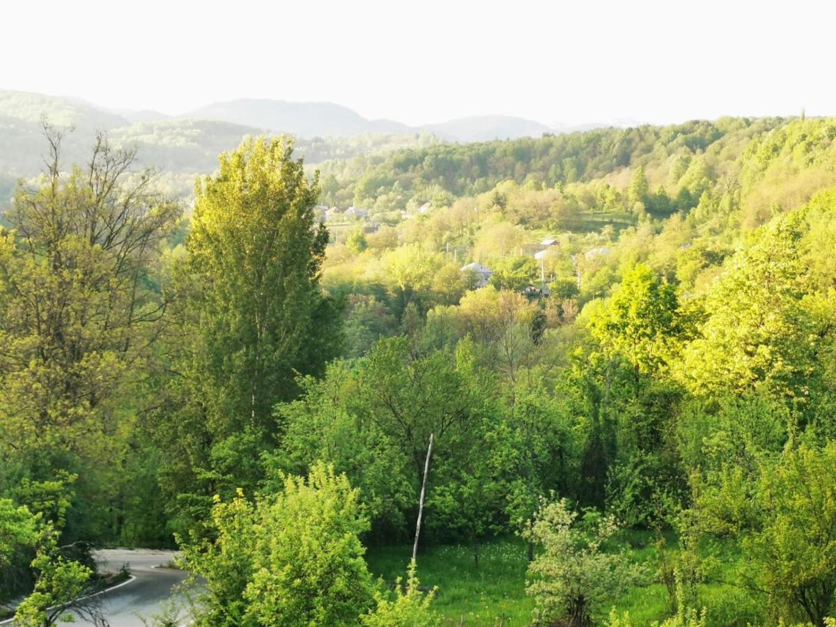 Casuta Din Gradina Villa Horezu Eksteriør bilde