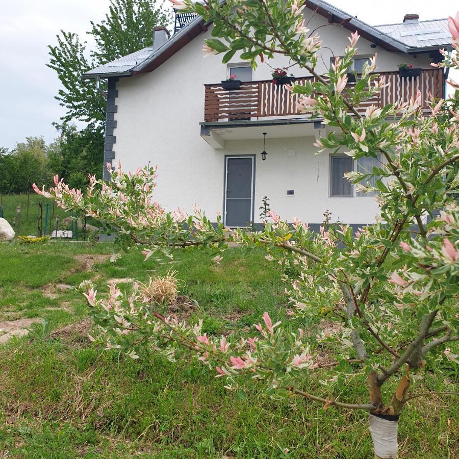 Casuta Din Gradina Villa Horezu Eksteriør bilde
